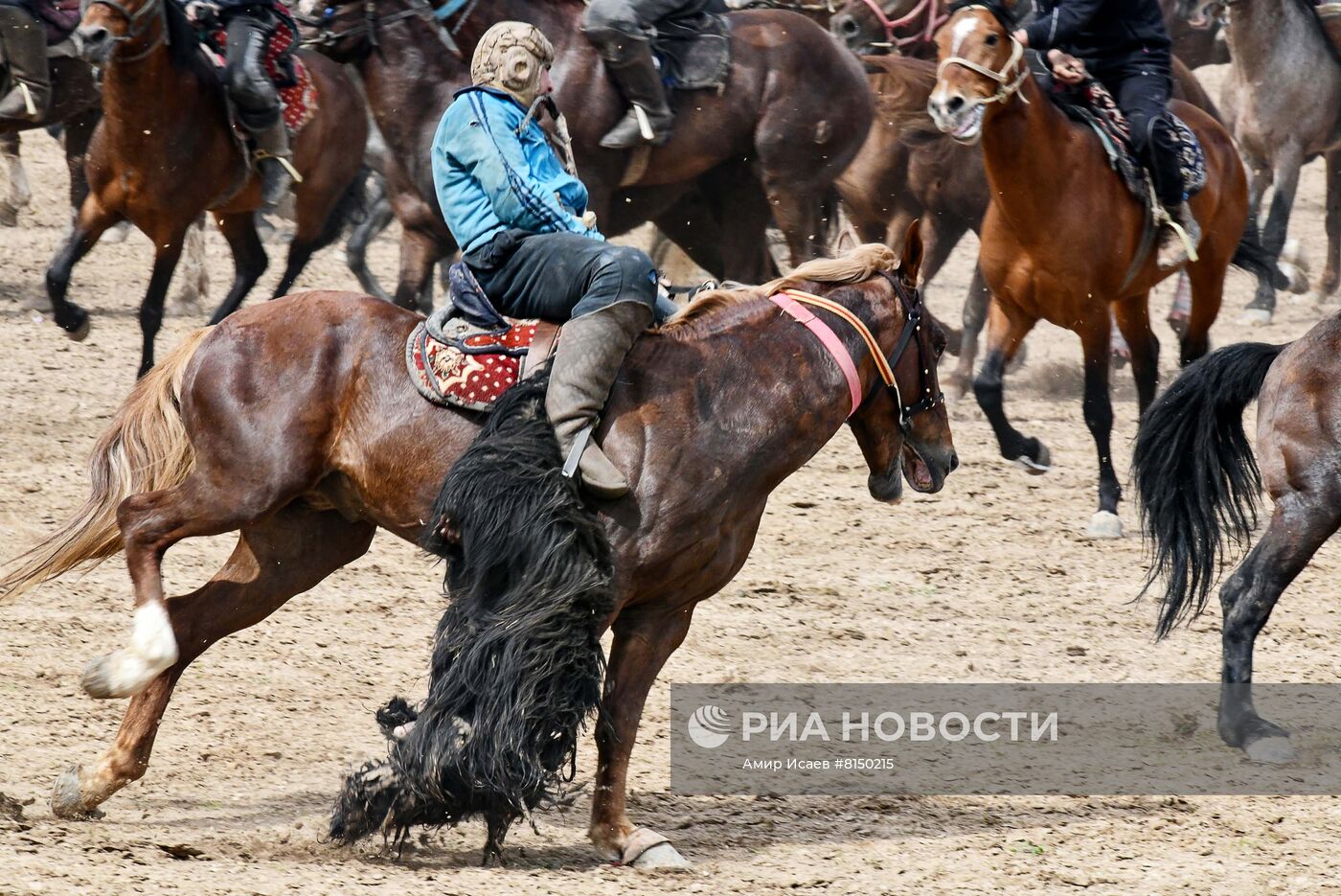 Конная игра Бузкаши в Дангаре | РИА Новости Медиабанк