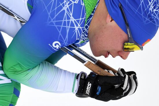 Лыжные гонки. Чемпионат России. Мужчины. Спринт