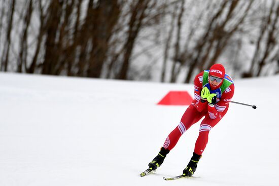 Лыжные гонки. Чемпионат России. Мужчины. Спринт