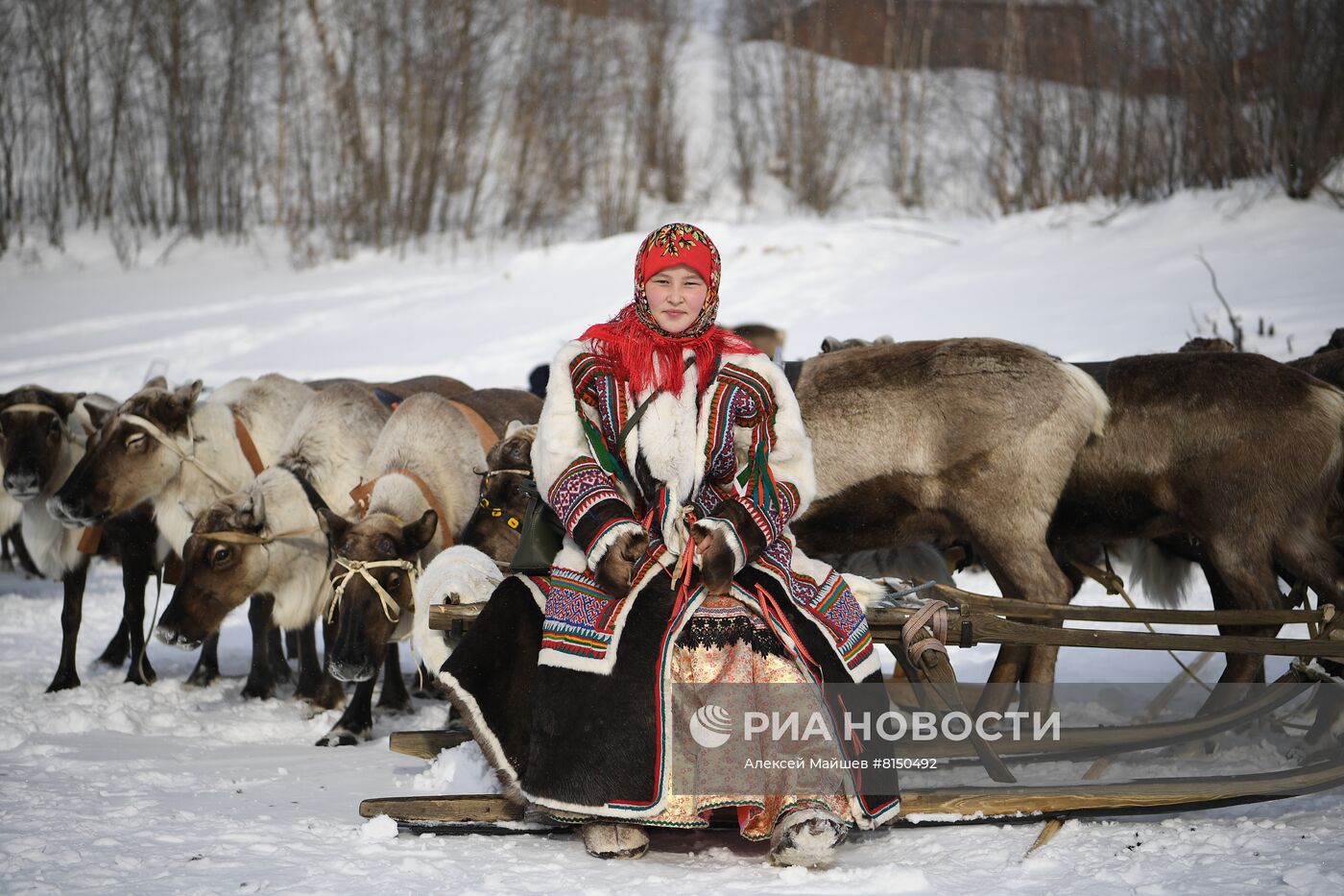 Празднование Дня оленевода в Салехарде