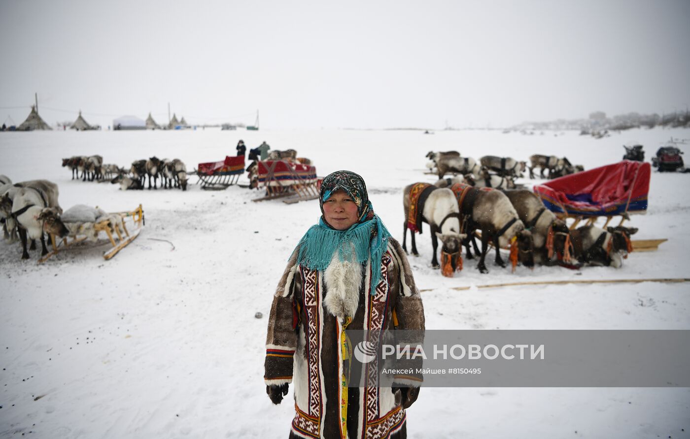 Празднование Дня оленевода в Салехарде