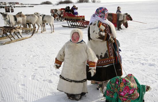 Празднование Дня оленевода в Салехарде