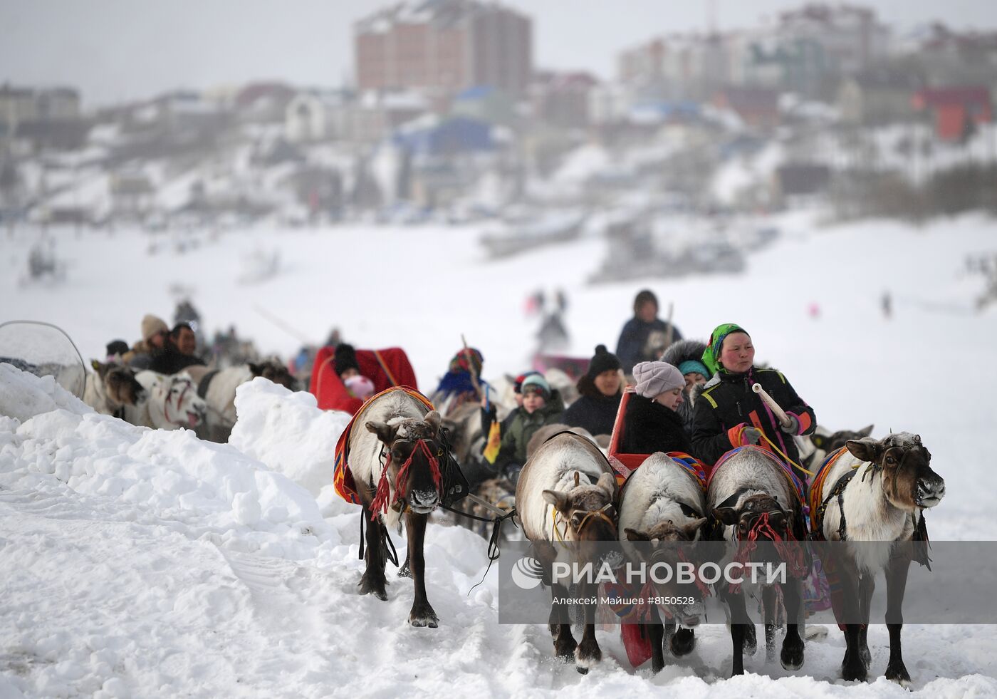 Празднование Дня оленевода в Салехарде
