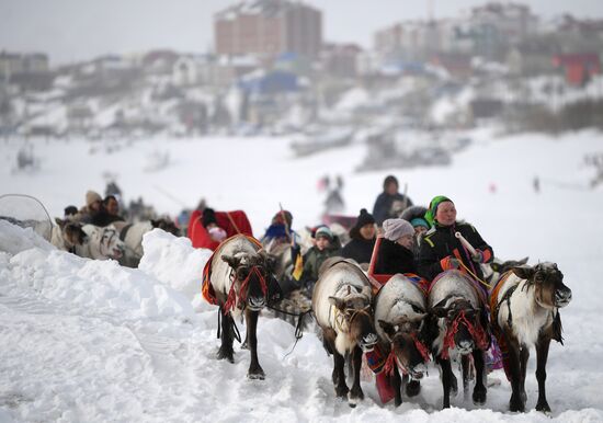 Празднование Дня оленевода в Салехарде