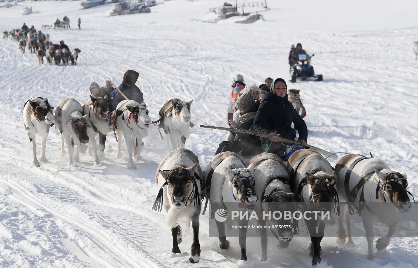 Празднование Дня оленевода в Салехарде