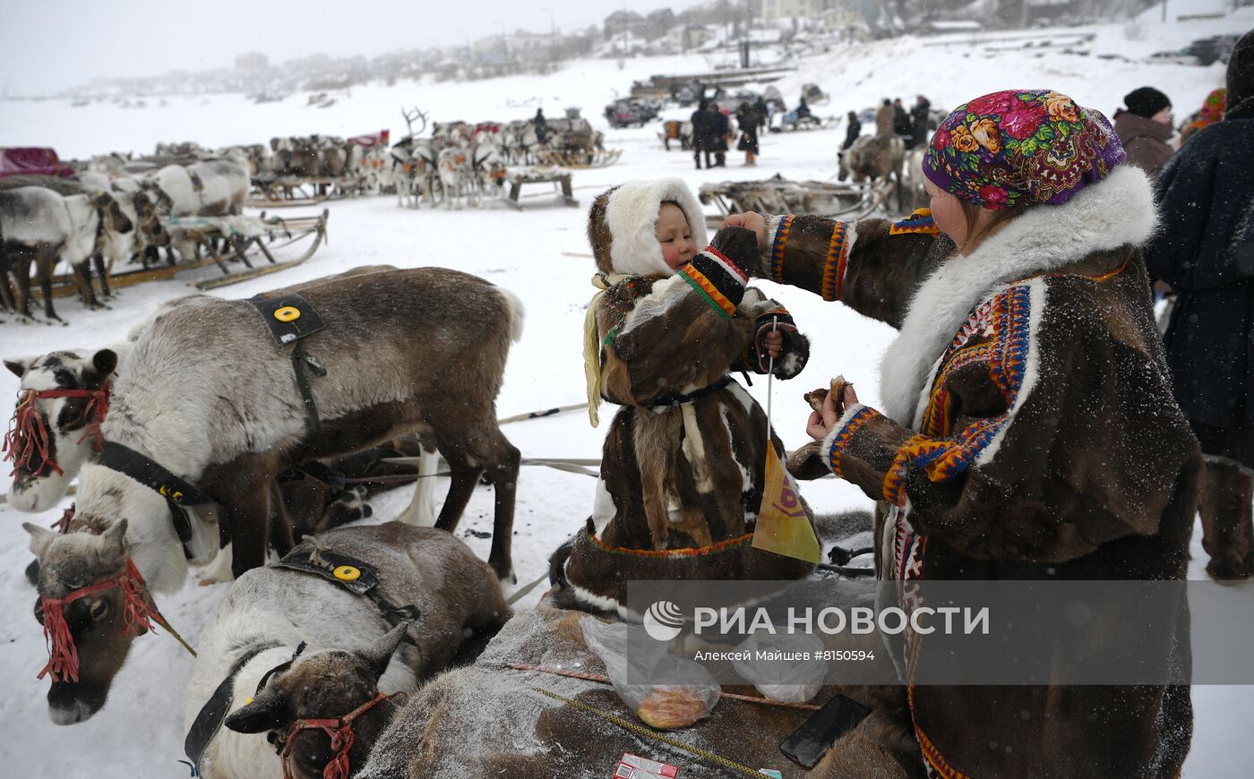 Празднование Дня оленевода в Салехарде