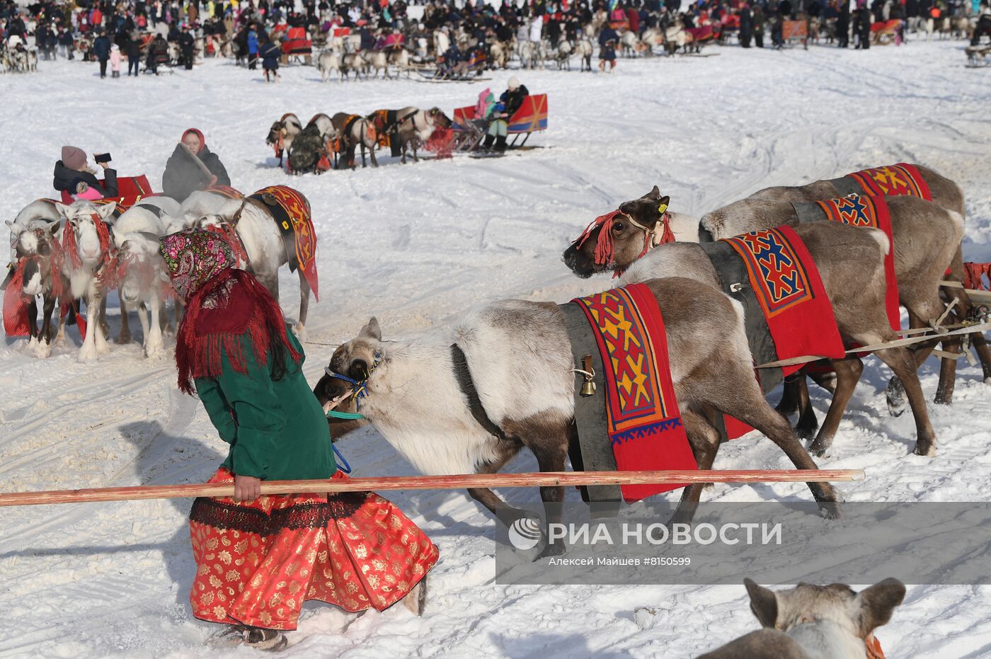 Празднование Дня оленевода в Салехарде