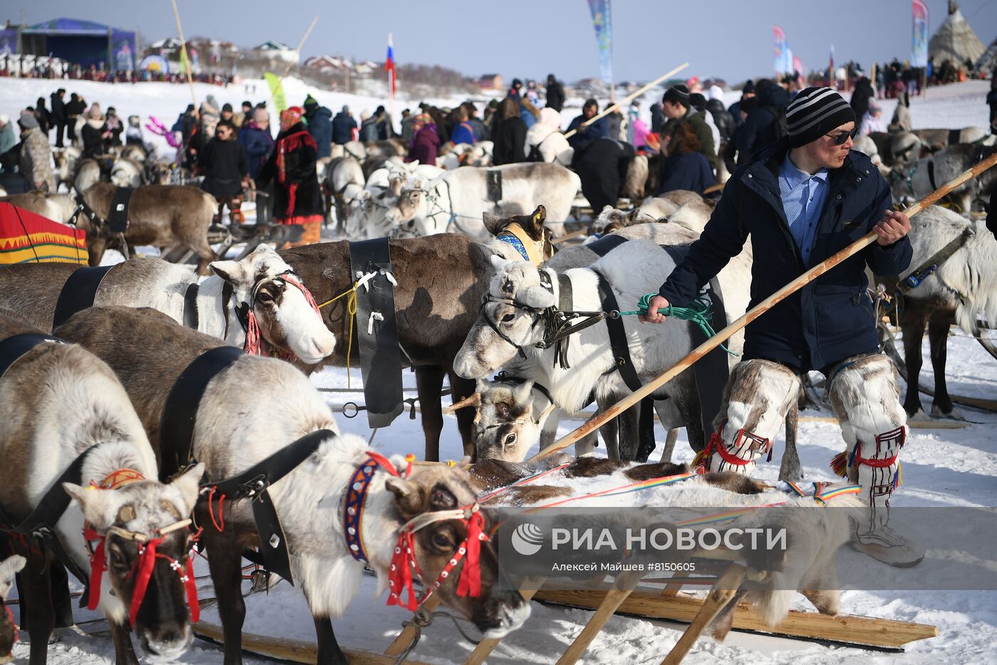 Празднование Дня оленевода в Салехарде