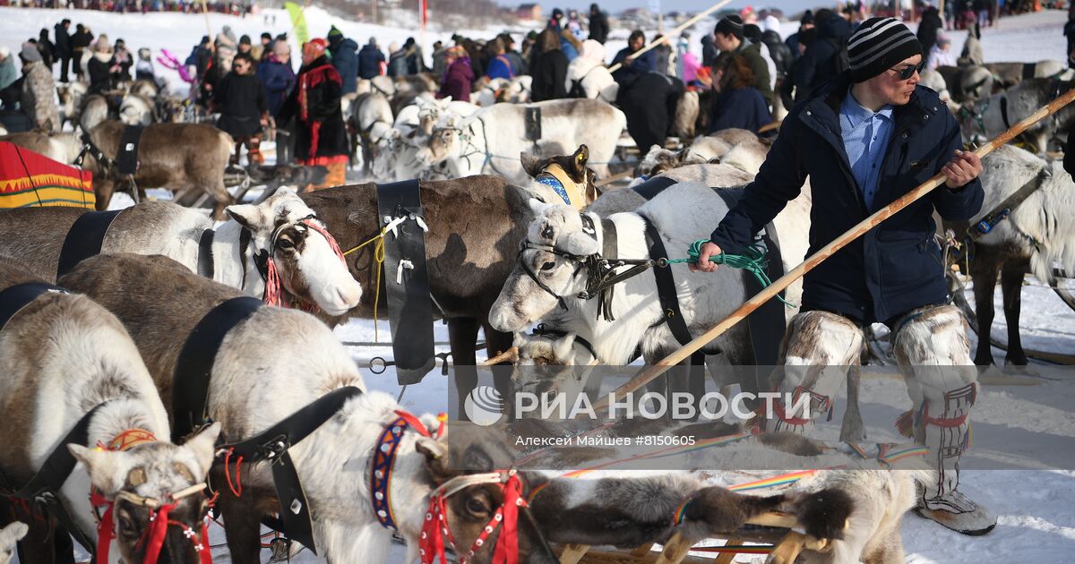 День оленевода на вертолёт