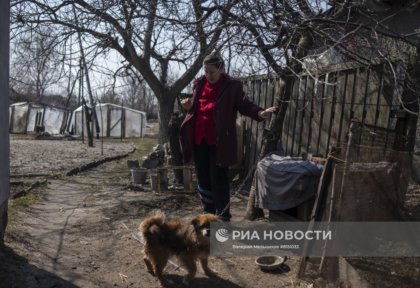 Воссоединение семьи на освобожденных Народной милицией ЛНР территориях
