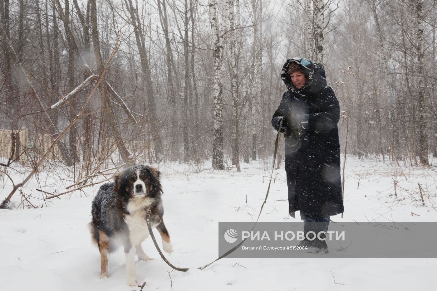 Работа приюта для бездомных животных в Москве