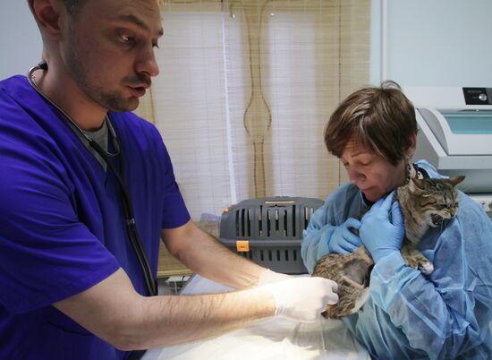 Работа приюта для бездомных животных в Москве