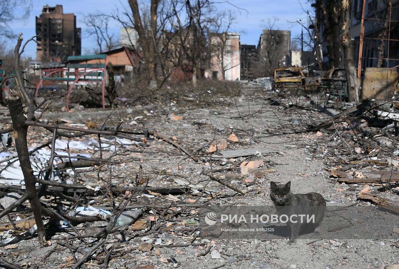 Неделя в фотографиях