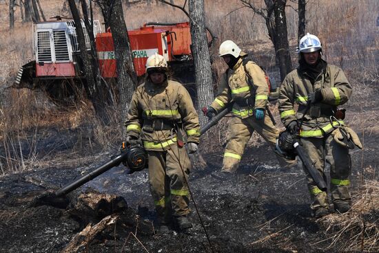 Учения МЧС по предупреждению природных пожаров