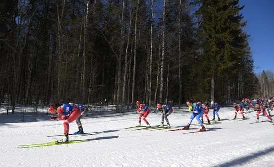 Лыжные гонки. Чемпионат России. Женщины. Масс-старт