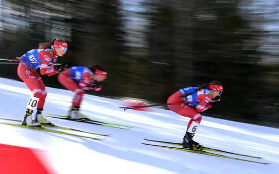 Лыжные гонки. Чемпионат России. Женщины. Масс-старт
