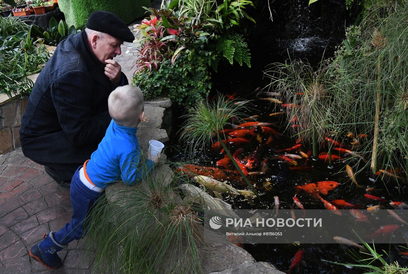 Выставка кактусов и суккулентов в Ботаническом саду Владивостока