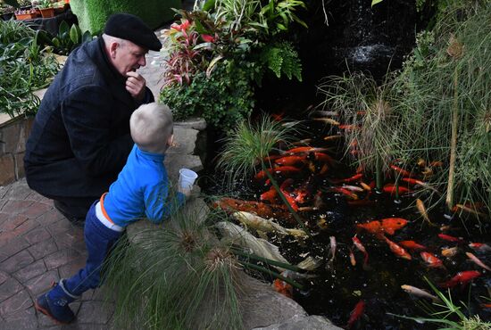 Выставка кактусов и суккулентов в Ботаническом саду Владивостока