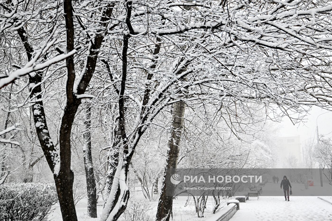 Снег в Москве