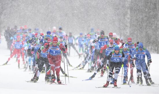 Лыжные гонки. Чемпионат России. Мужчины. Масс-старт