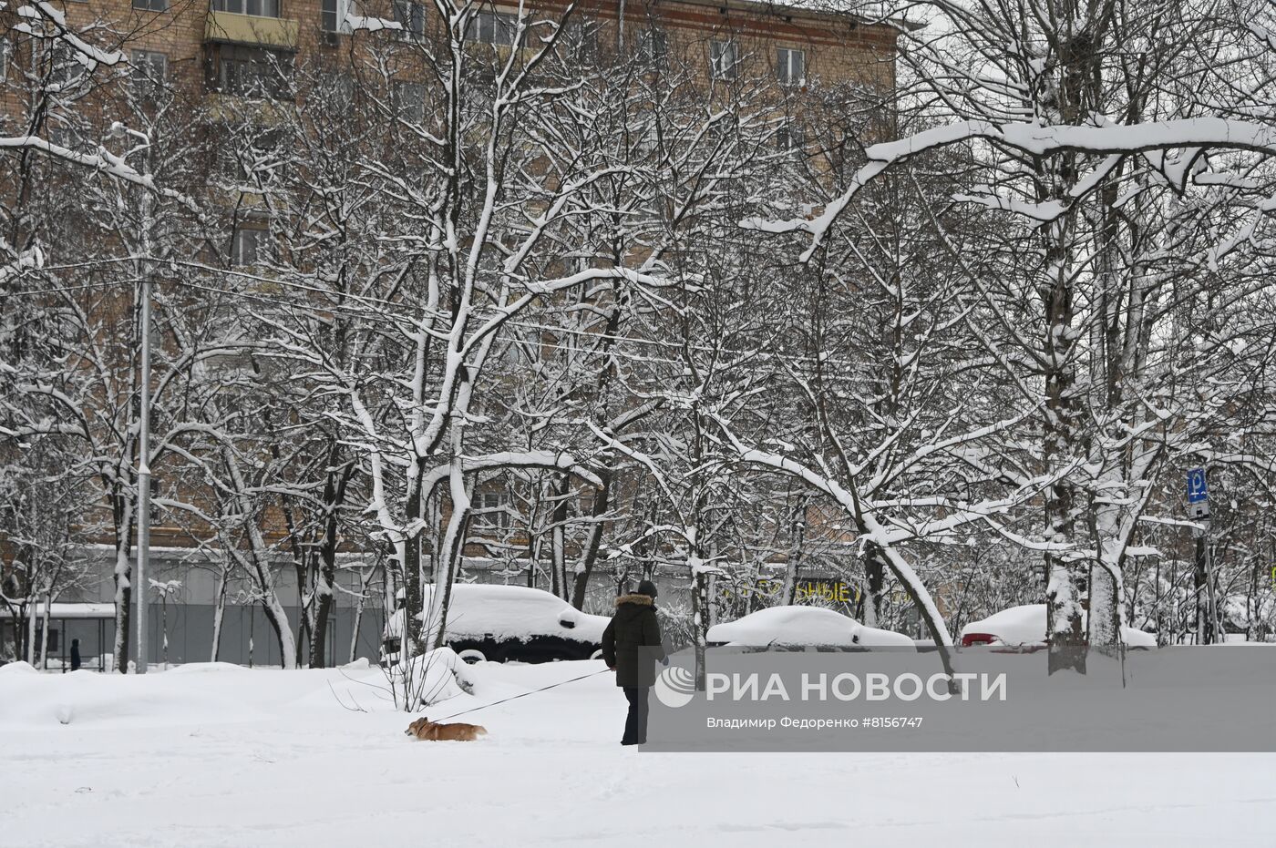 Снег в Москве