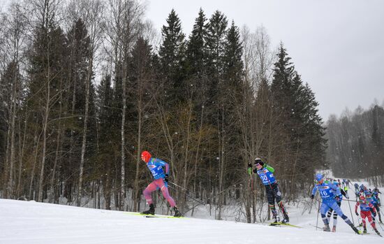 Лыжные гонки. Чемпионат России. Мужчины. Масс-старт