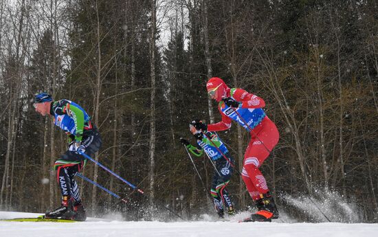 Лыжные гонки. Чемпионат России. Мужчины. Масс-старт