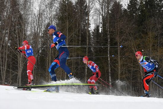 Лыжные гонки. Чемпионат России. Мужчины. Масс-старт