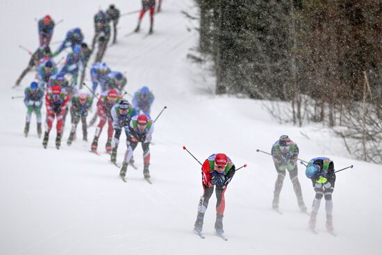 Лыжные гонки. Чемпионат России. Мужчины. Масс-старт