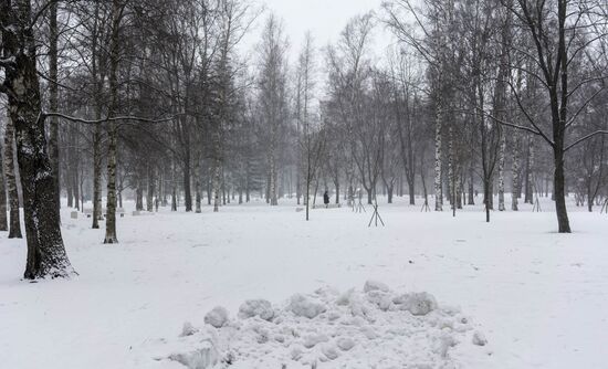 Снег в Санкт-Петербурге