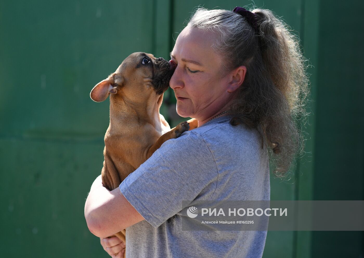 Питомник для собак в Луганске получил гуманитарную помощь