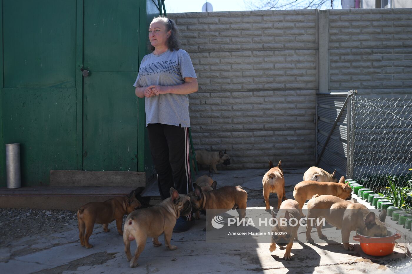 Питомник для собак в Луганске получил гуманитарную помощь