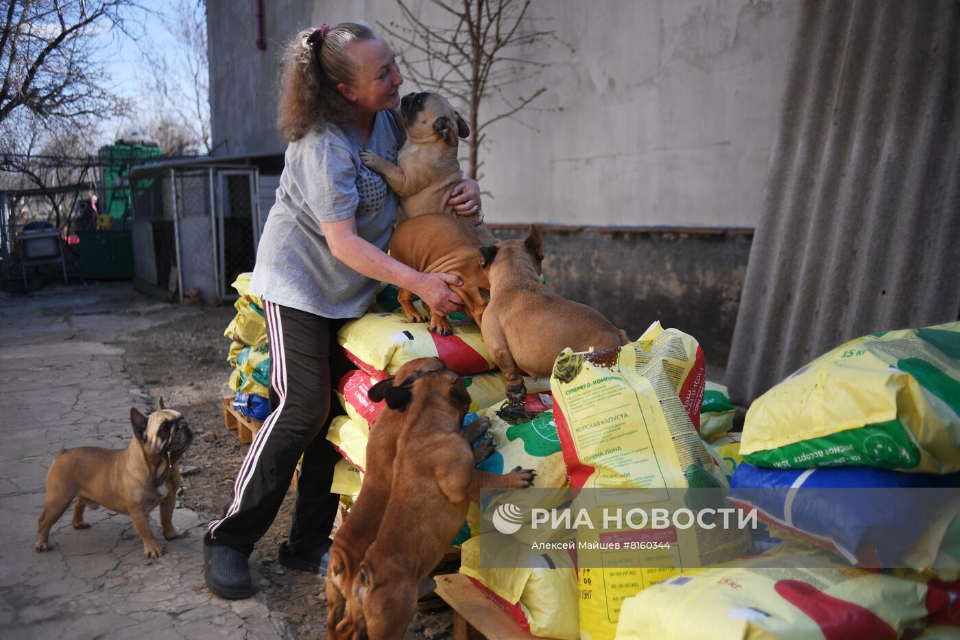 Питомник для собак в Луганске получил гуманитарную помощь