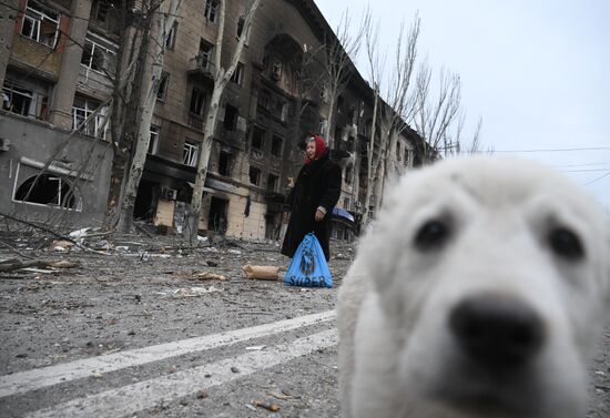 Мариуполь после отступления ВСУ