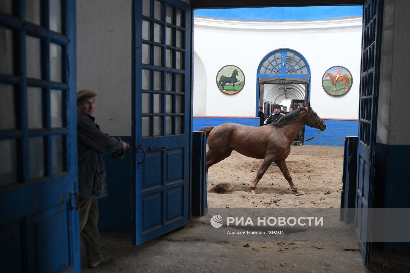 Деркульский государственный конный завод в ЛНР