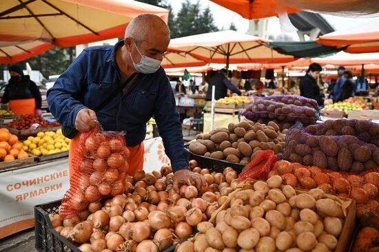 Продуктовая ярмарка в Сочи