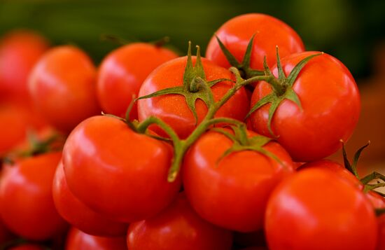 Продуктовая ярмарка в Сочи