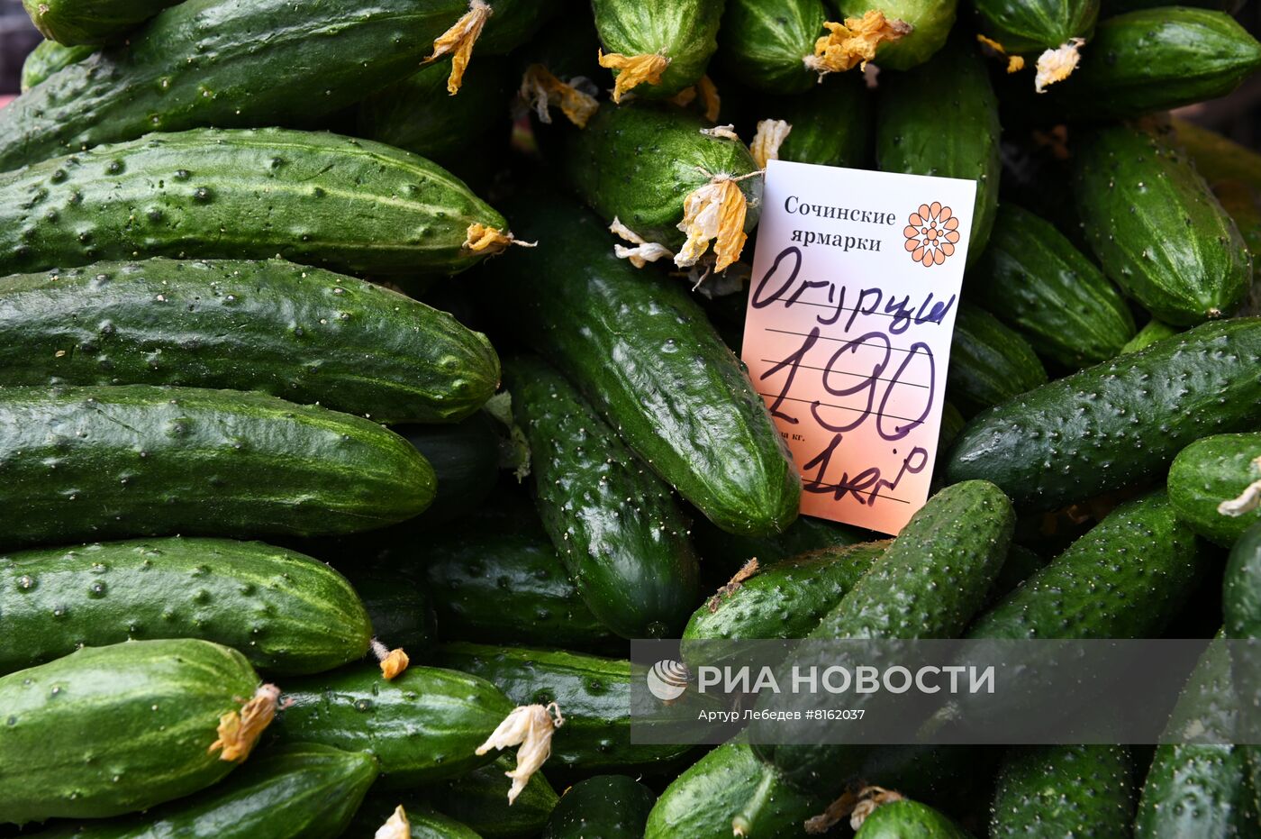 Продуктовая ярмарка в Сочи