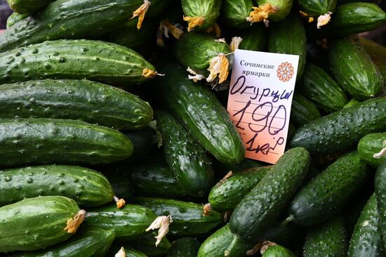 Продуктовая ярмарка в Сочи