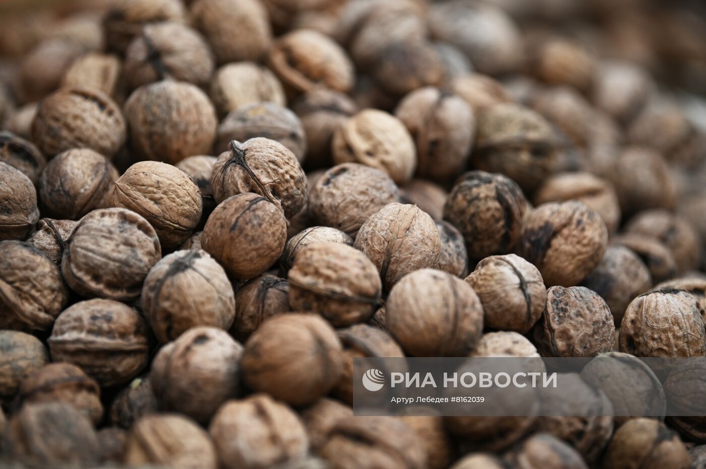 Продуктовая ярмарка в Сочи