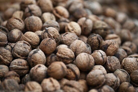 Продуктовая ярмарка в Сочи