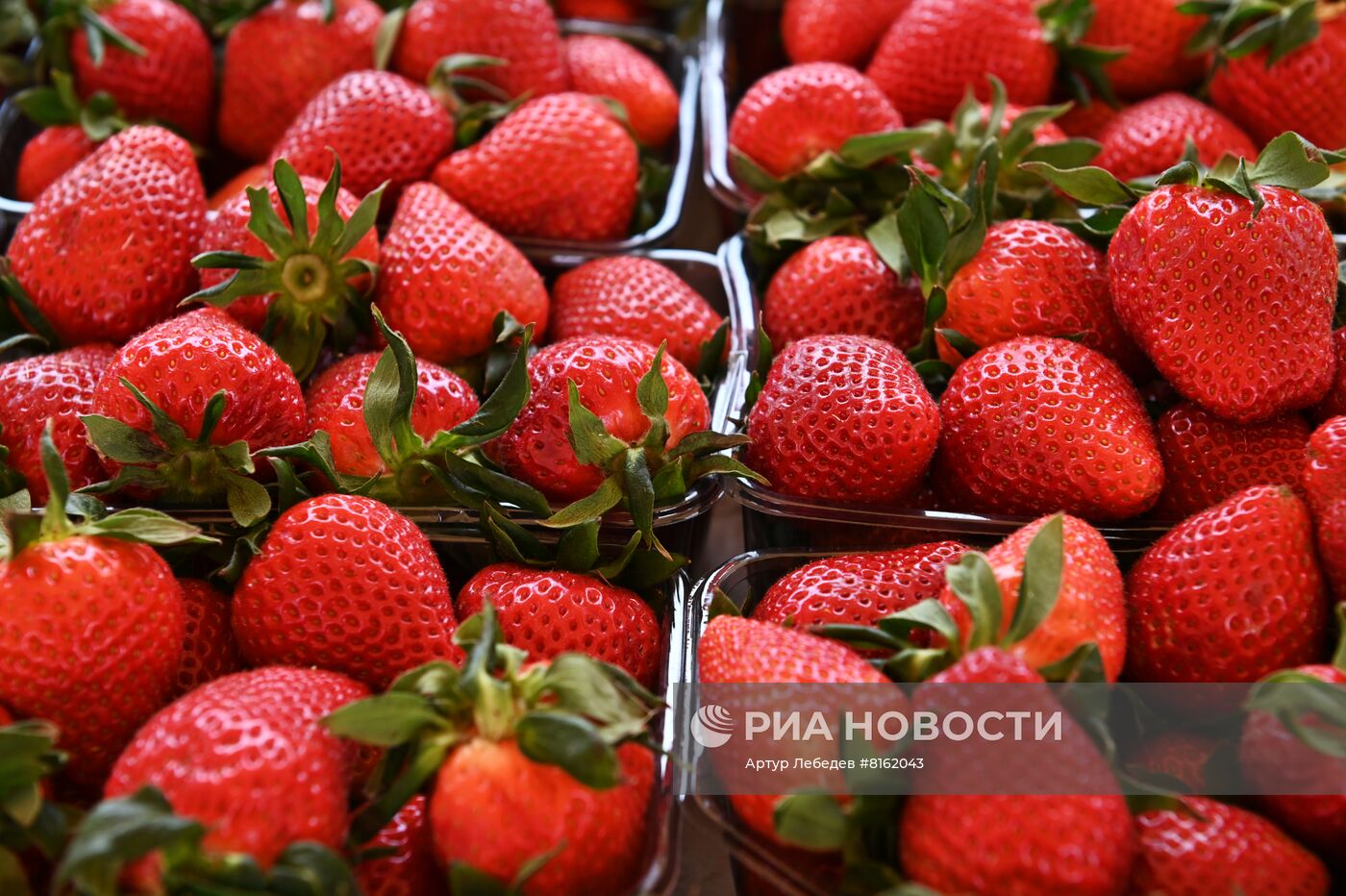 Продуктовая ярмарка в Сочи