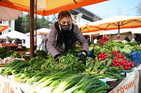 Продуктовая ярмарка в Сочи