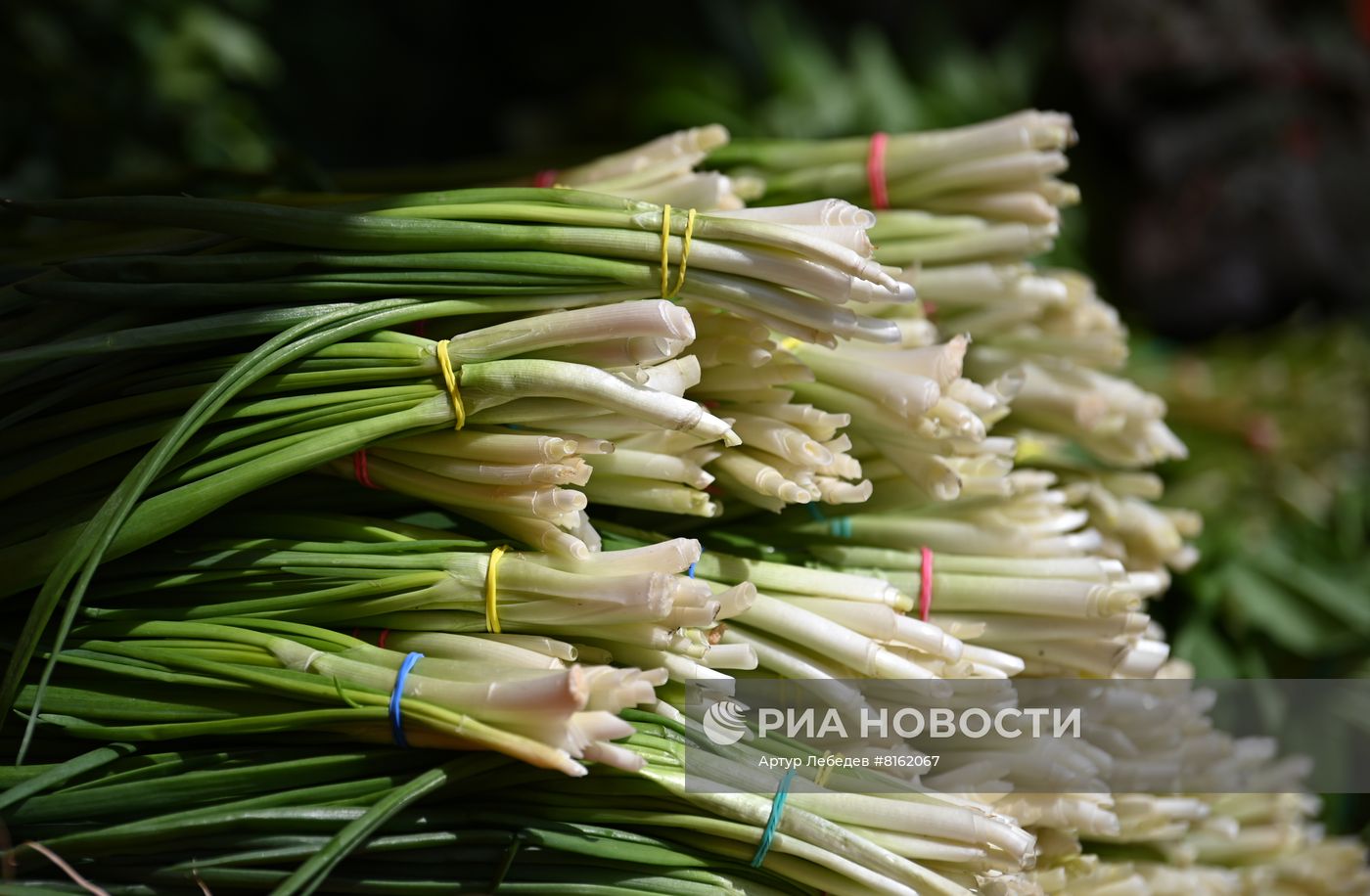 Продуктовая ярмарка в Сочи