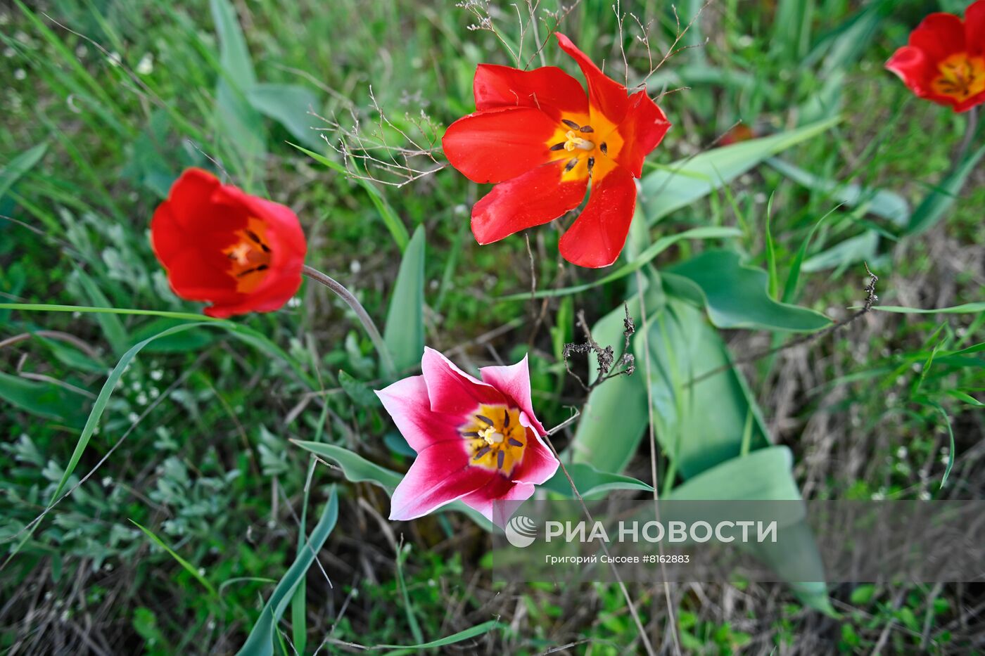 #ОткрываяРоссию. Калмыкия