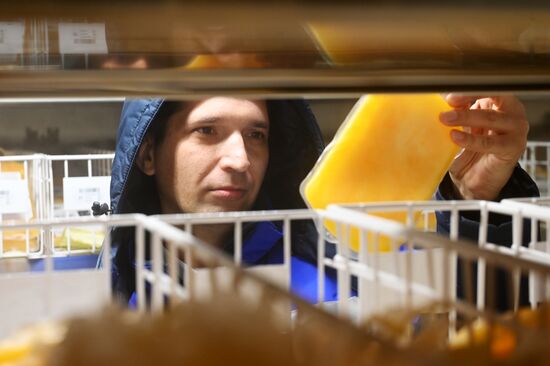 Центр крови ФМБА России