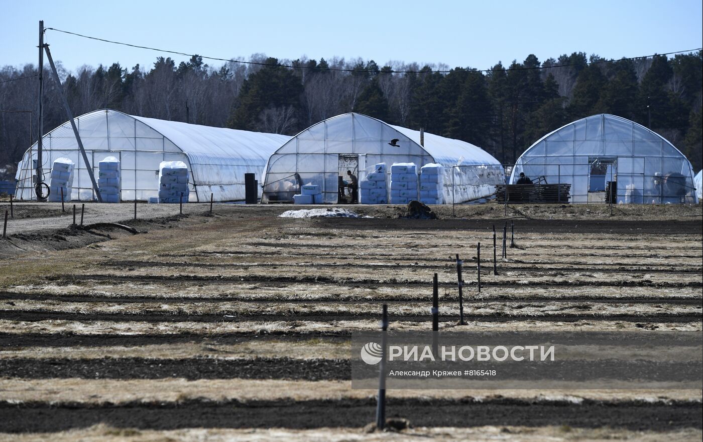 Сельскохозяйственное предприятие в Новосибирске