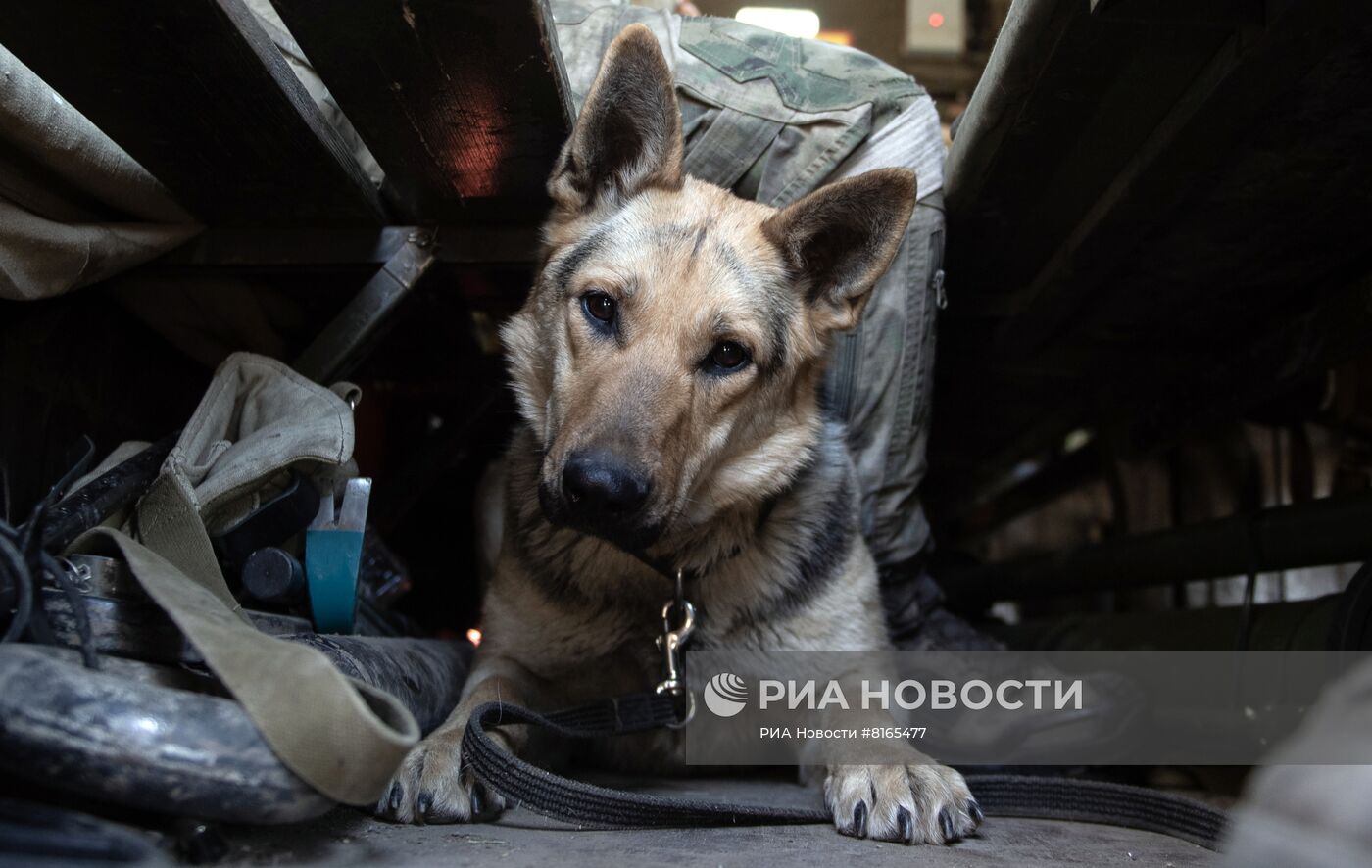 Сотрудники Росгвардии в Херсонской области