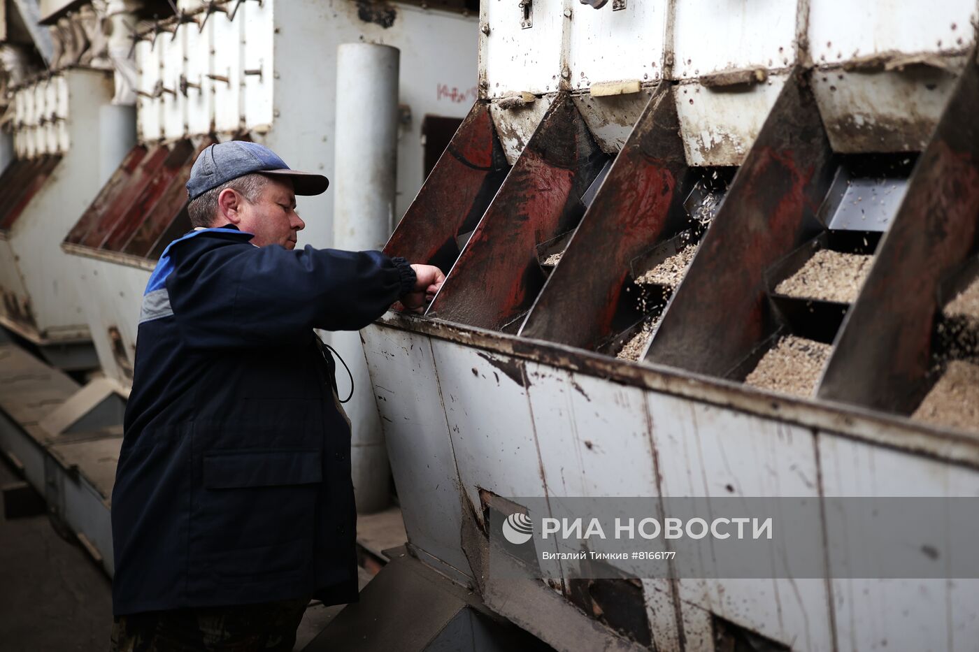 Производство растительных масел в Краснодарском крае