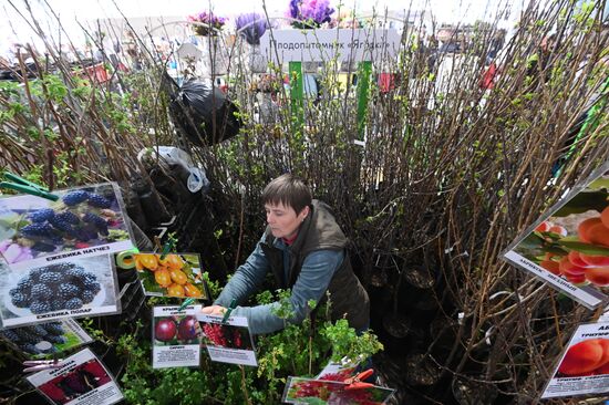 Фестиваль цветов и экопродуктов "Green City"